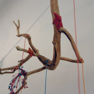 Zoom sur une branche tortueuse support d'un mobile "Océan", poisson losange 3D et étoiles de mer en micro-macramé