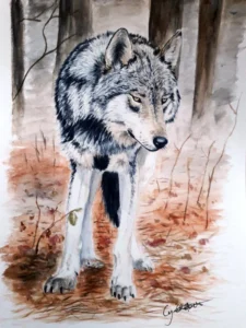 Scan aquarelle portrait loup debout, de face, tête de 3/4, réaliste, arrière plan forêt en automne
