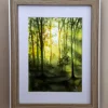 Aquarelle encadrée forêt au printemps rétro-éclairée, verts ocre jaune