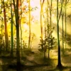 Scan aquarelle forêt au printemps rétro-éclairée, verts ocre jaune