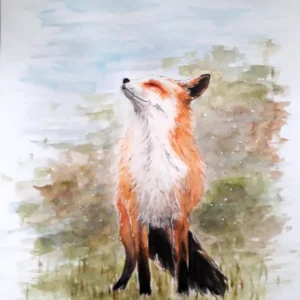 Aquarelle portrait d'un renard qui hume l'air