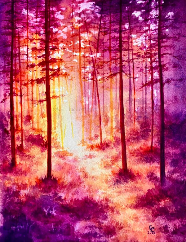 Scan aquarelle forêt mystique rétro-éclairée, violet rose jaune orangé, encadrée